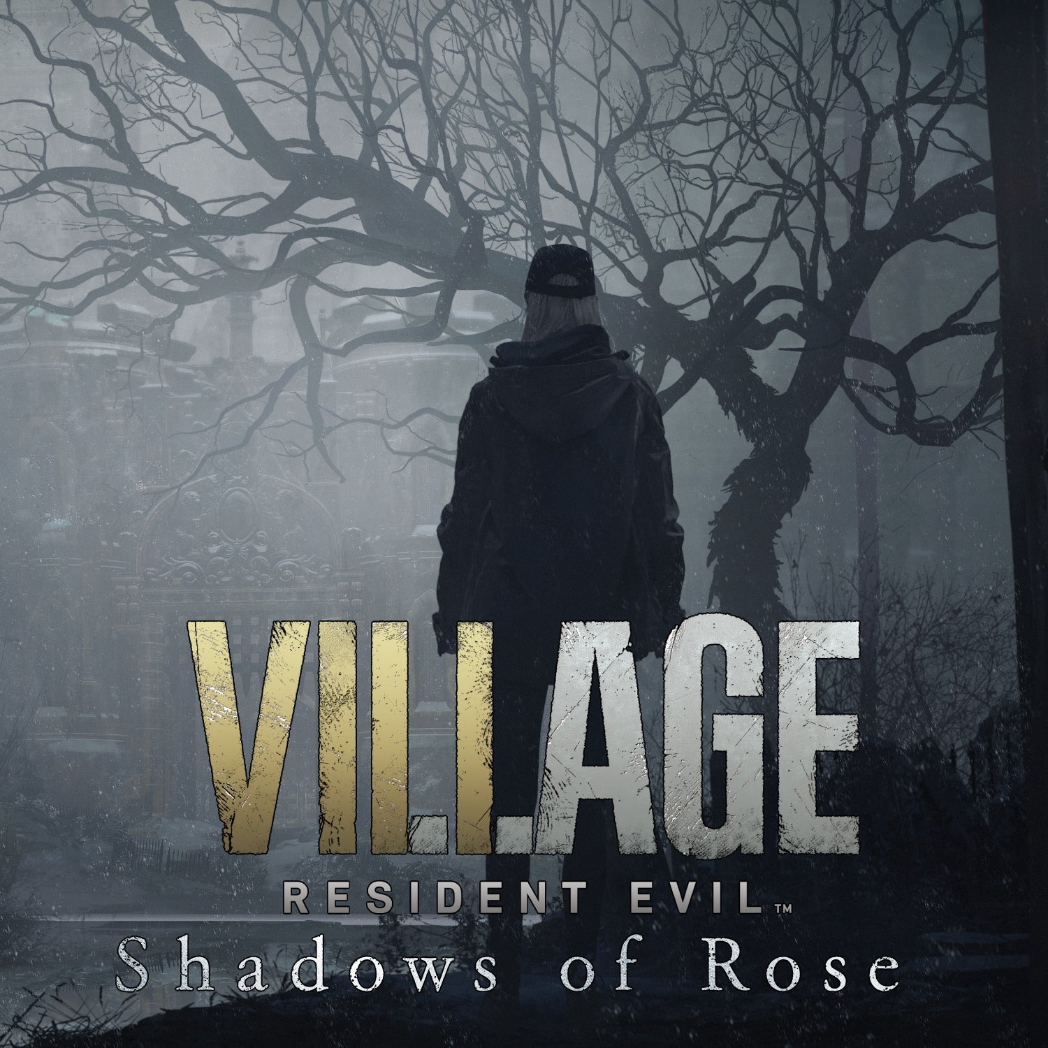 "Shadows of Rose" la extensión de la historia en DLC