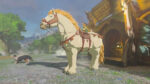 Cómo conseguir el semental blanco gigante en tears of the kingdom
